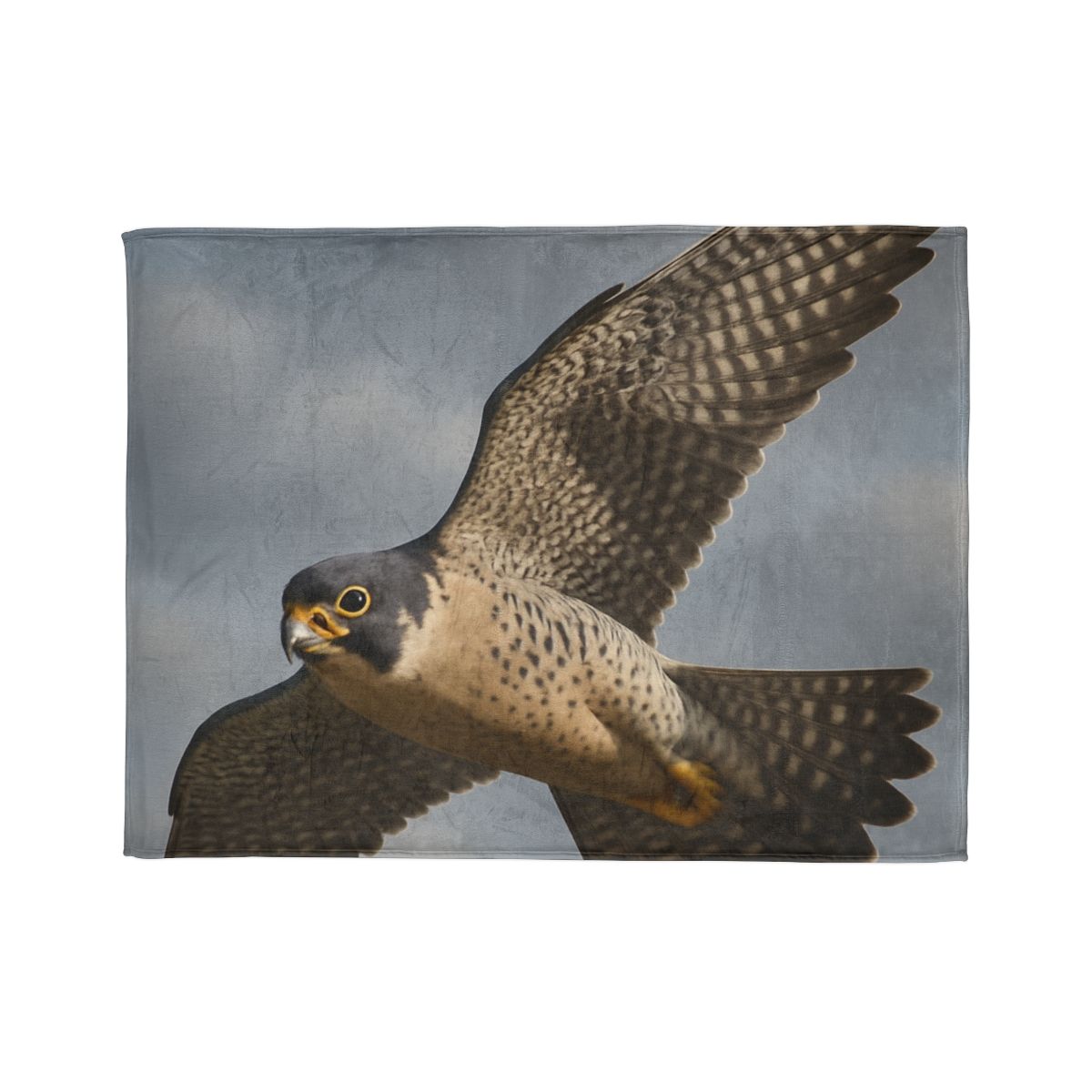 Sky Lance Peregrine Falcon decorative home blankets