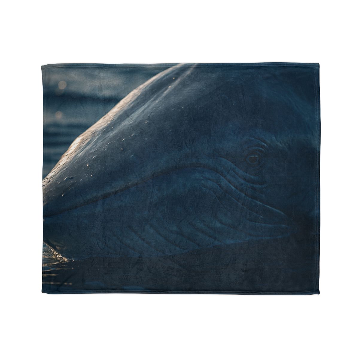 Ocean Song Blue Whale designer printed blankets