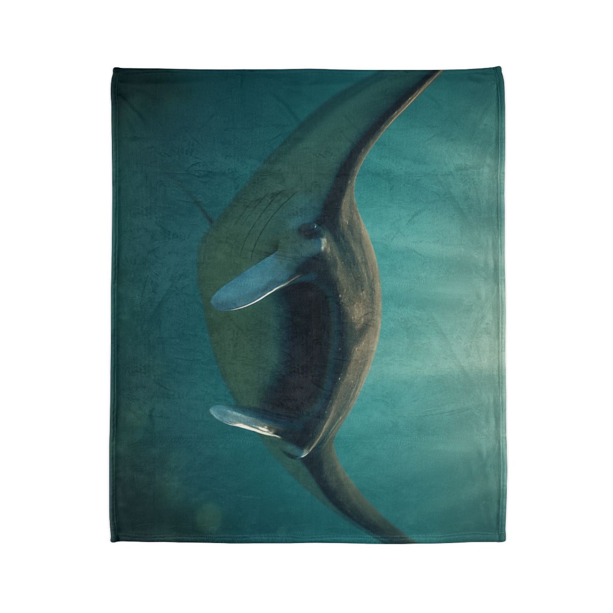 Starlit Drift Giant Manta Ray unique gift blankets