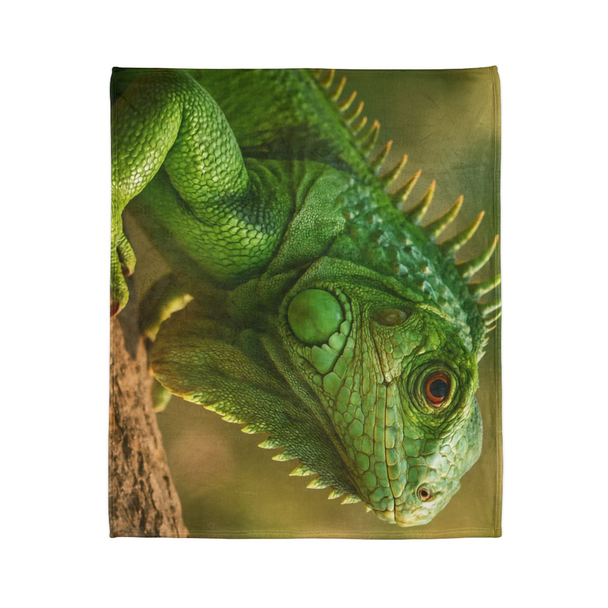 Green Iguana Sun Poise custom blankets