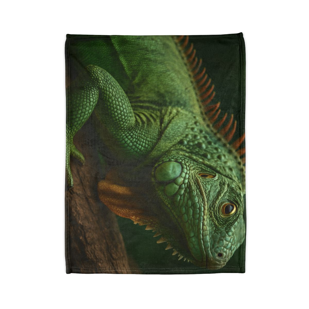 Sunlit Perch Green Iguana unique gift blanketscustom blankets