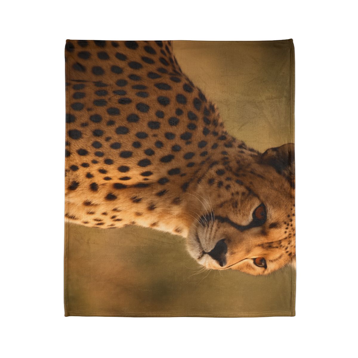 Amber Gaze Cheetah designer printed blankets