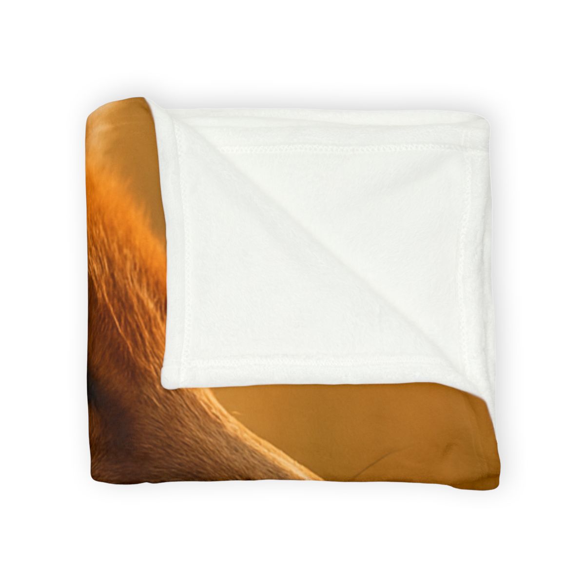 Amber Gaze Red Fox designer printed blankets