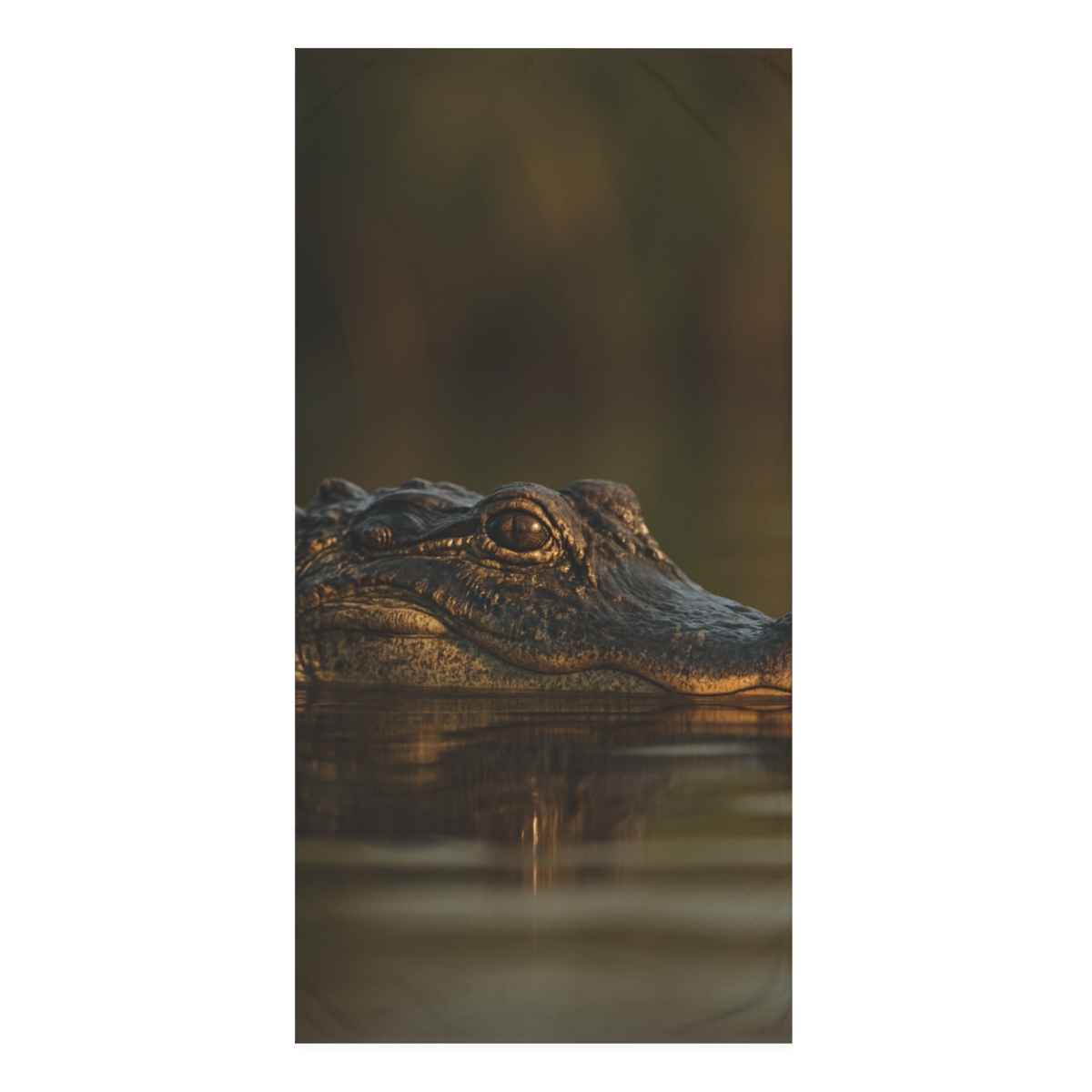 Ancient Gaze American Alligator trendy hand towels