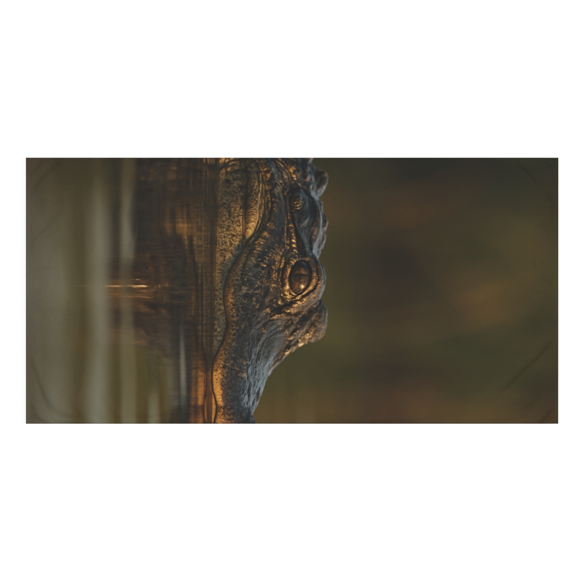 Ancient Gaze American Alligator trendy hand towels