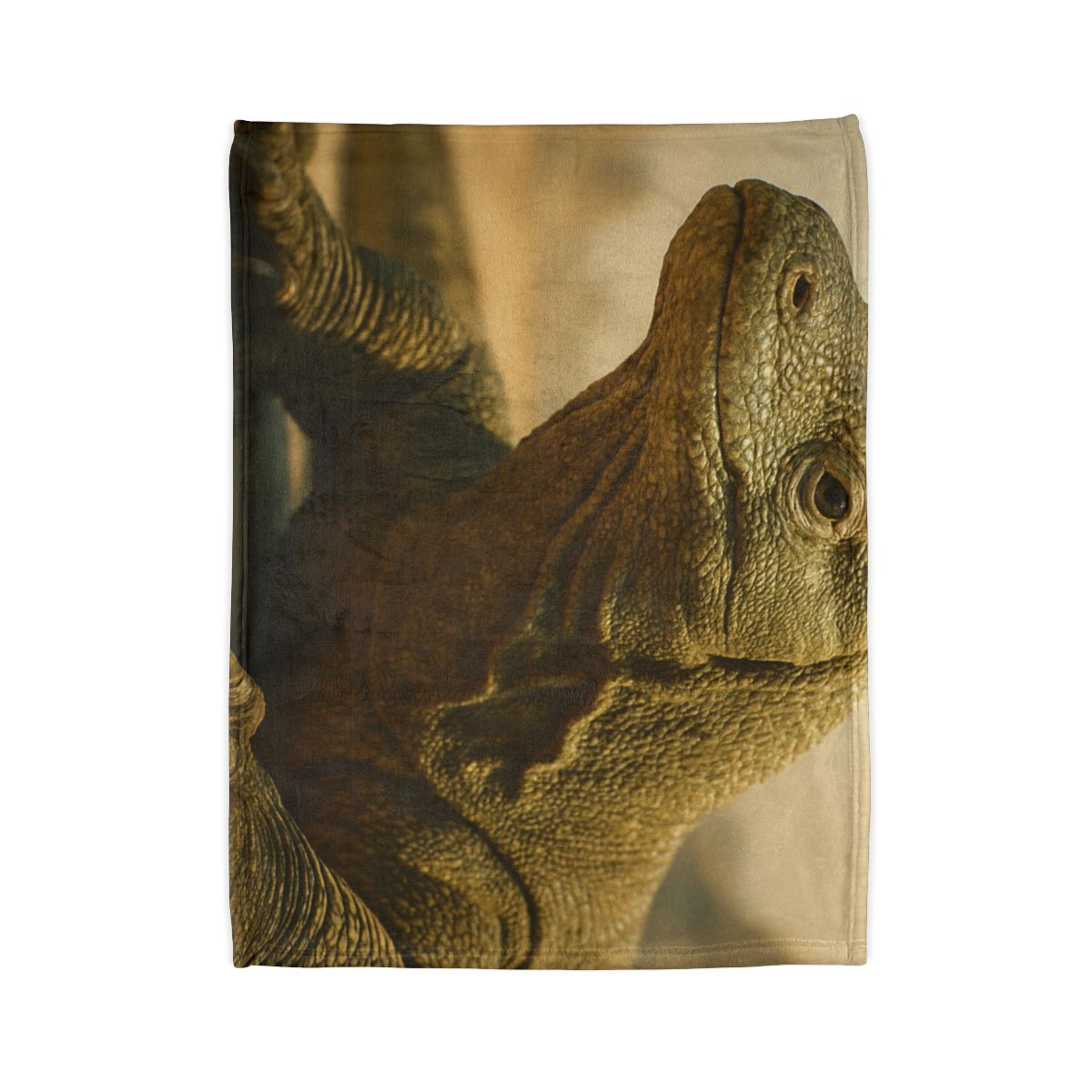 Ancient Sentinel Komodo Dragon decorative home blankets