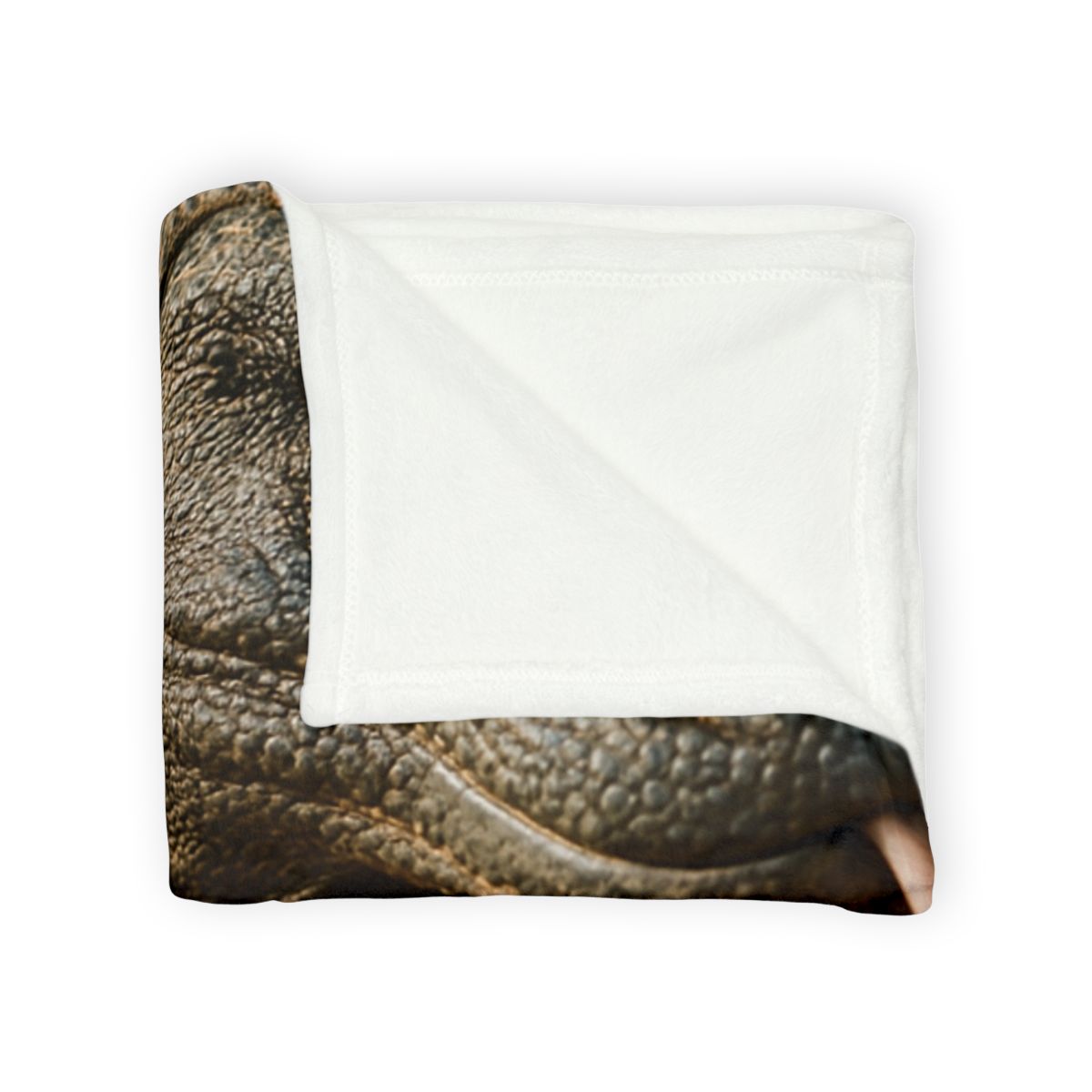 Ancient Sentinel Komodo Dragon custom blankets