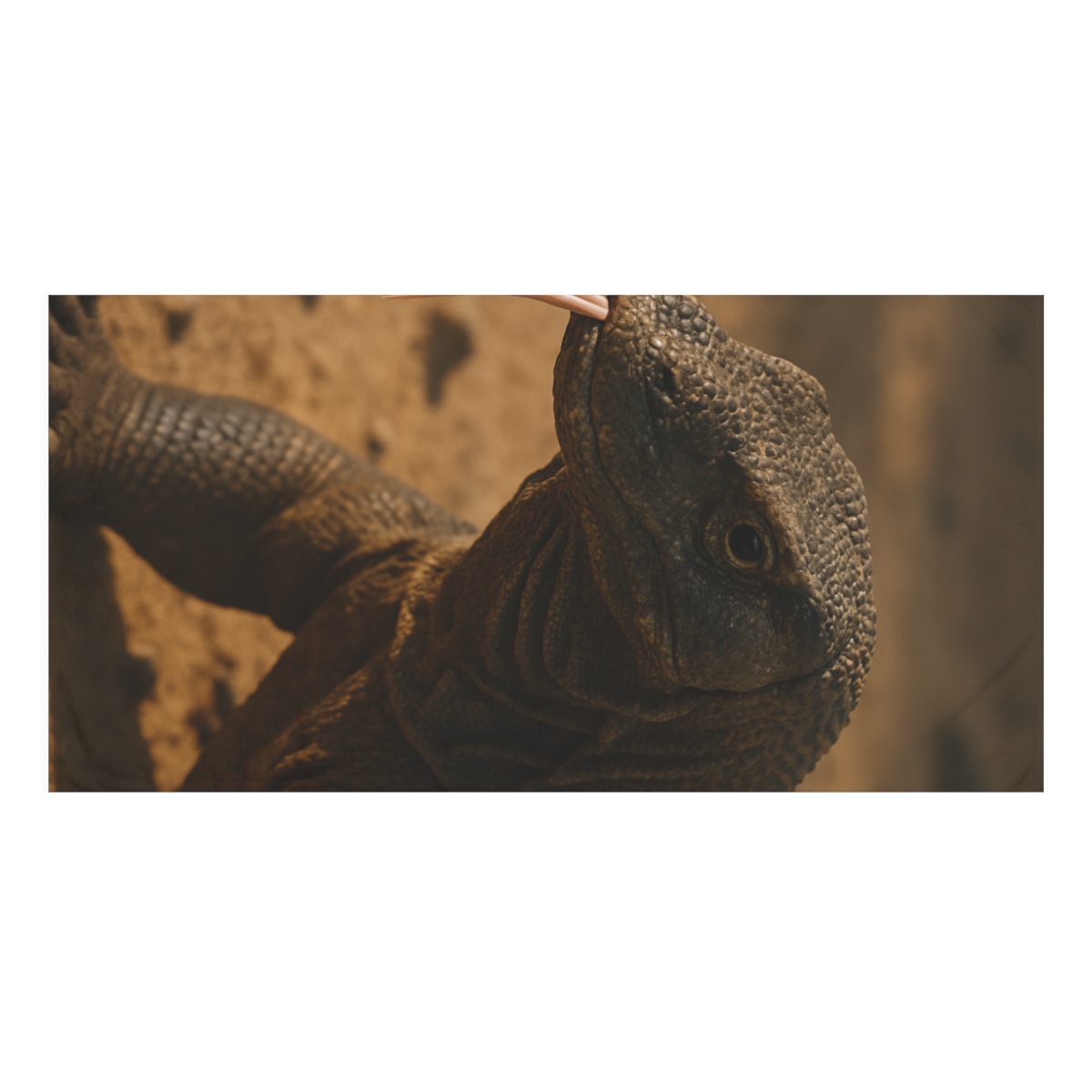 Ancient Sentinel Komodo Dragon personalized bath towels
