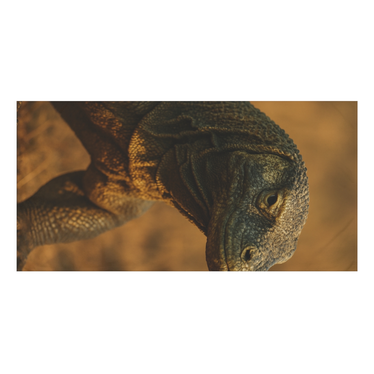 Ancient Sentinel Komodo Dragon designer printed towels