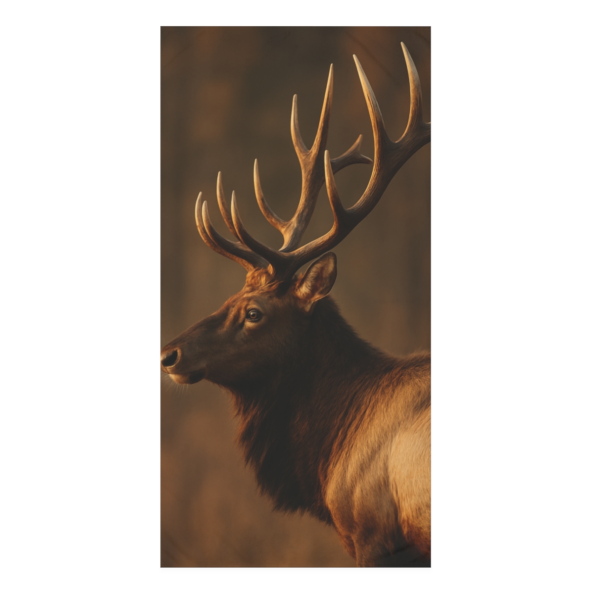 Antler Crown Mountain Elk stylish beach towels