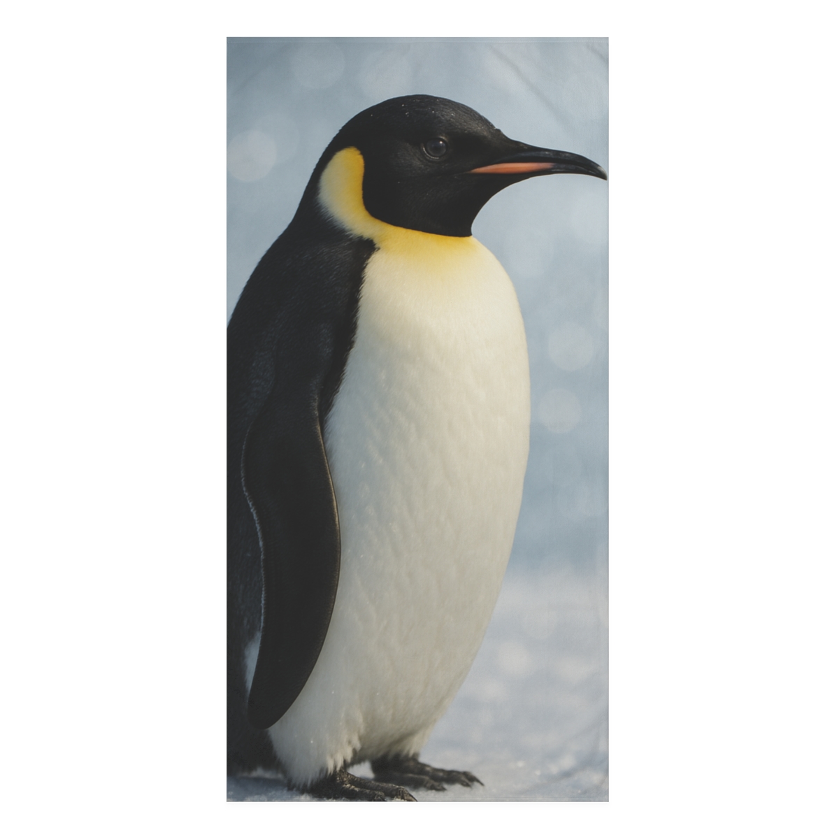 Aurora Drift Emperor Penguin personalized bath towels