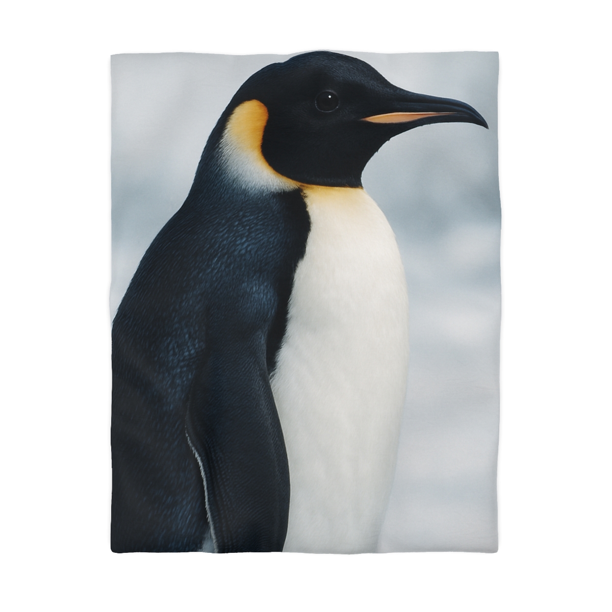Aurora Drift Emperor Penguin stylish duvet covers