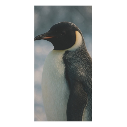 Aurora Drift Emperor Penguin personalized bath towels