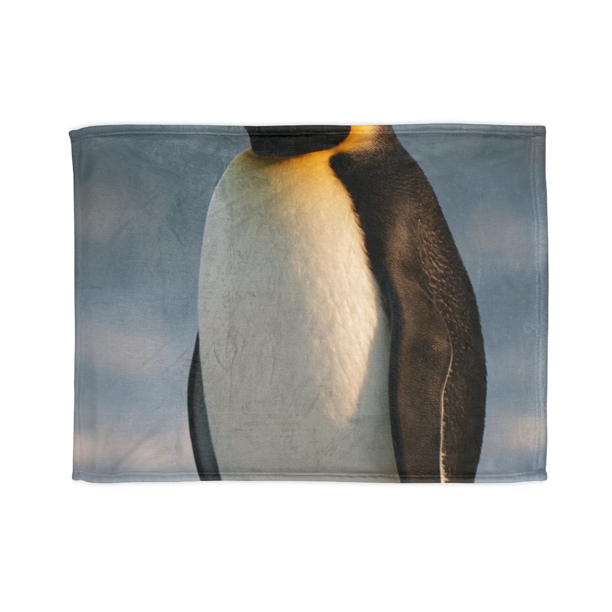 Aurora Drift Emperor Penguin stylish throw blankets