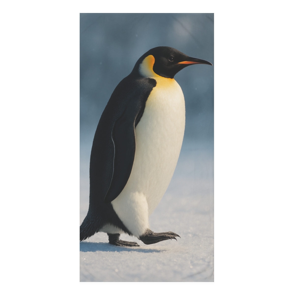 Aurora Drift Emperor Penguin designer printed towels
