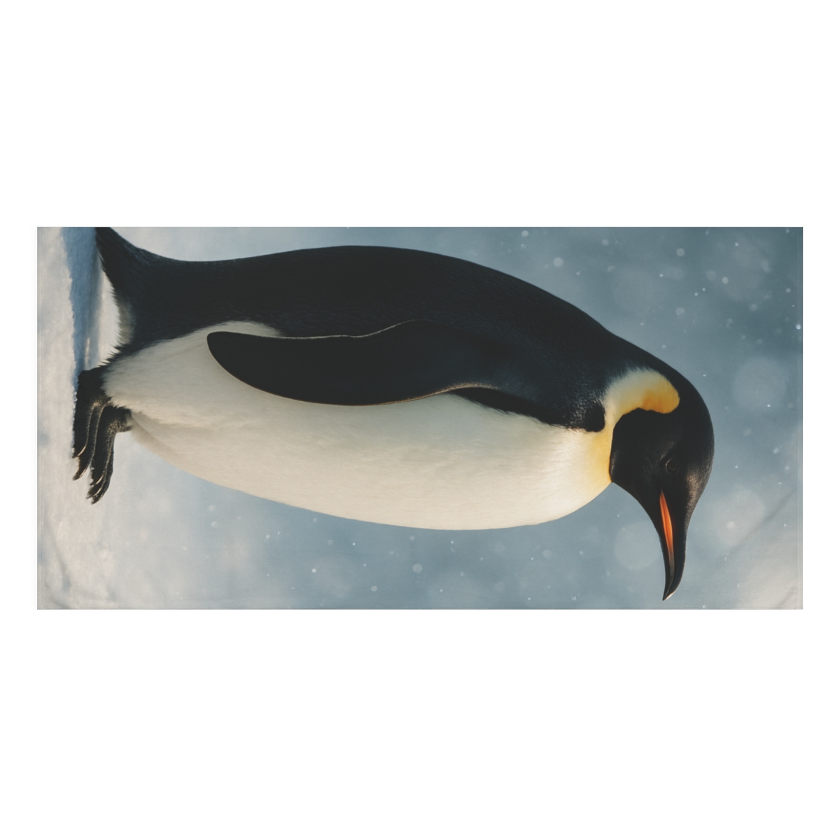 Aurora Drift Emperor Penguin soft cotton towels
