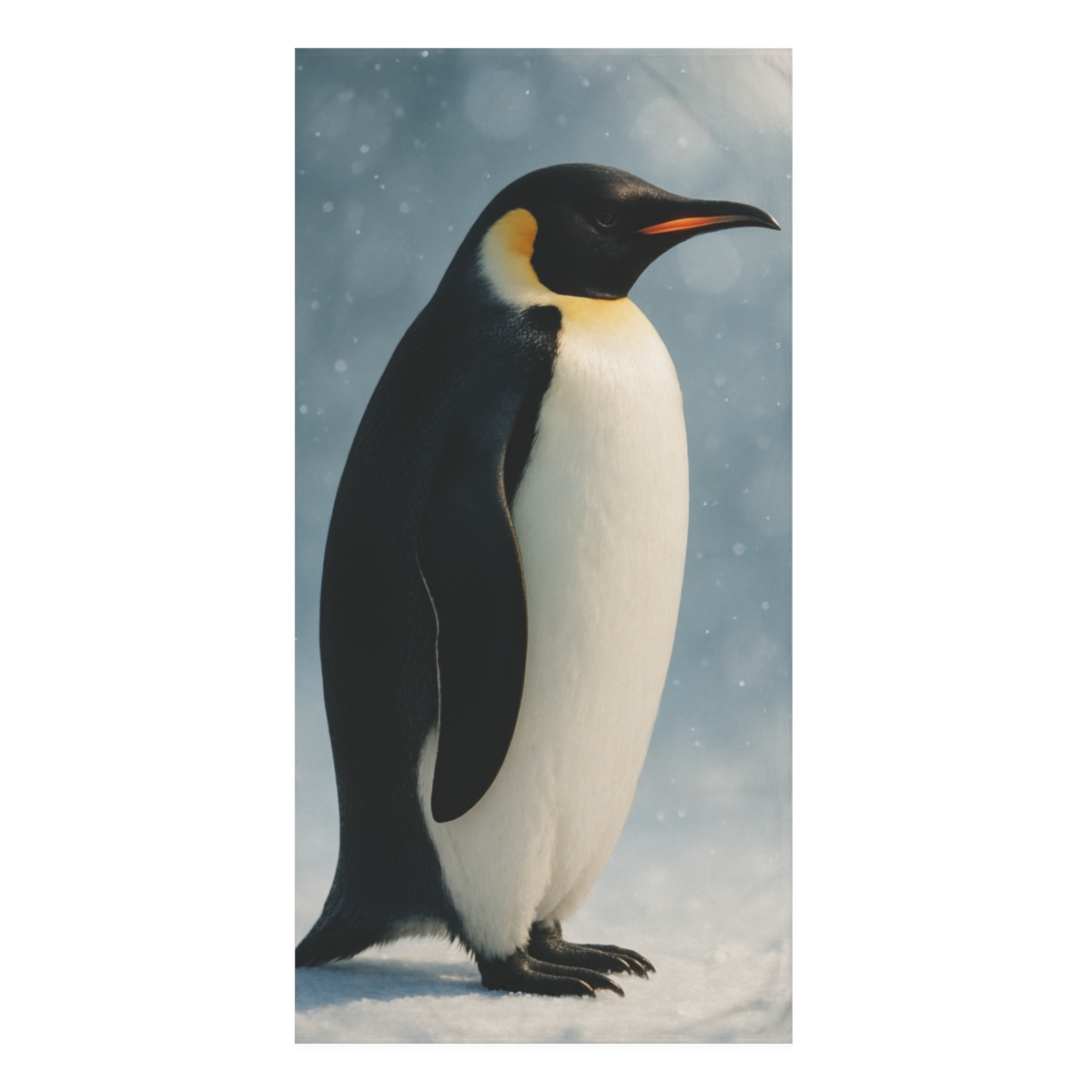 Aurora Drift Emperor Penguin soft cotton towels