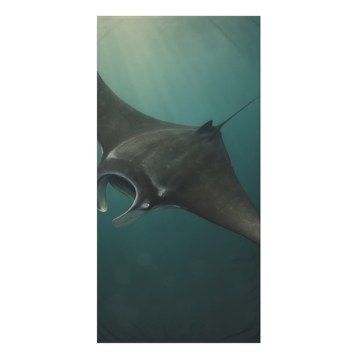 Aurora Drift Giant Manta Ray decorative home towelscustom towels