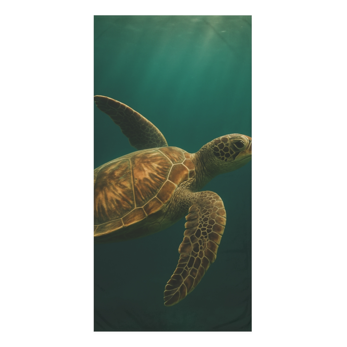 Aurora Drift Green Sea Turtle personalized bath towels