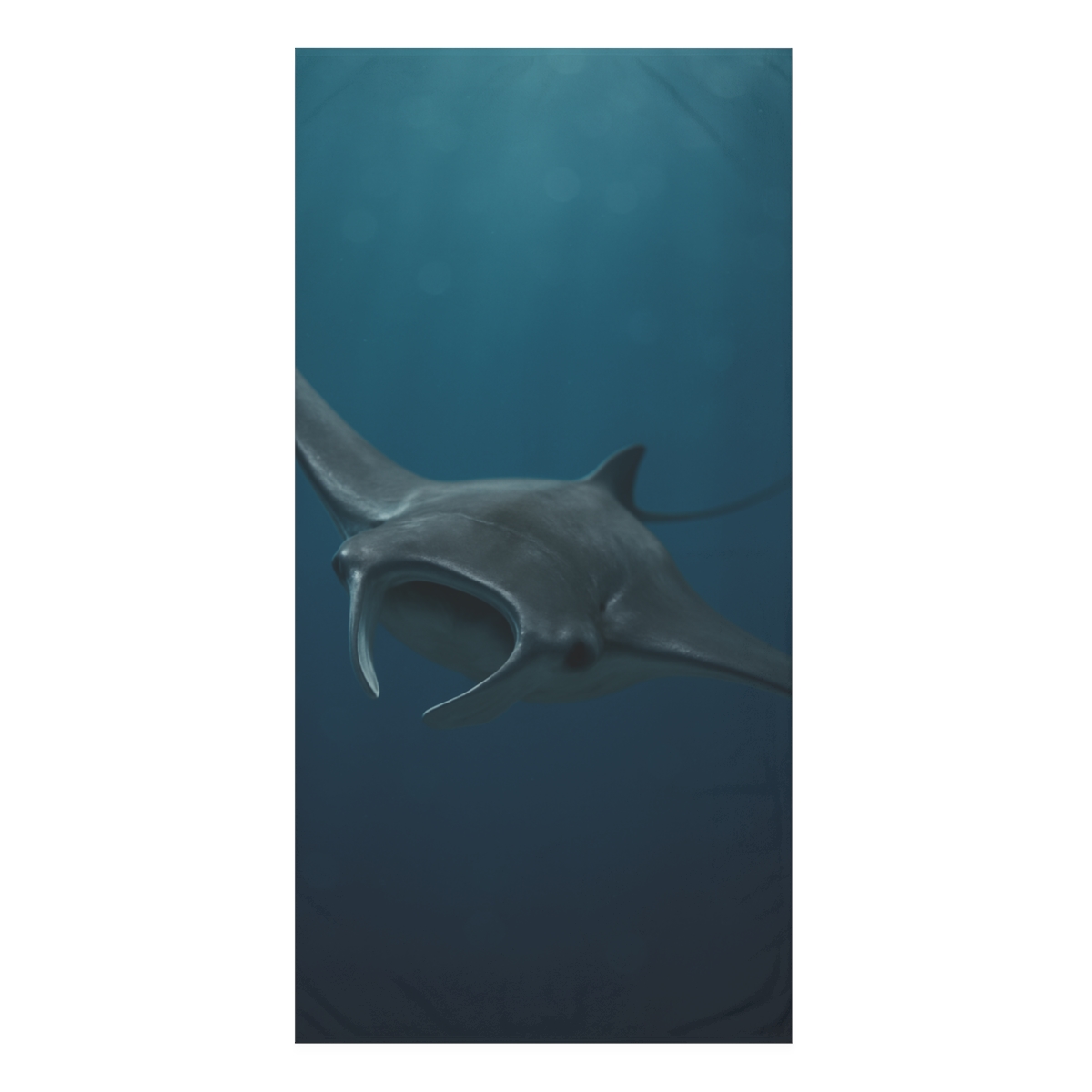 Aurora Drift Manta Ray unique gift towels