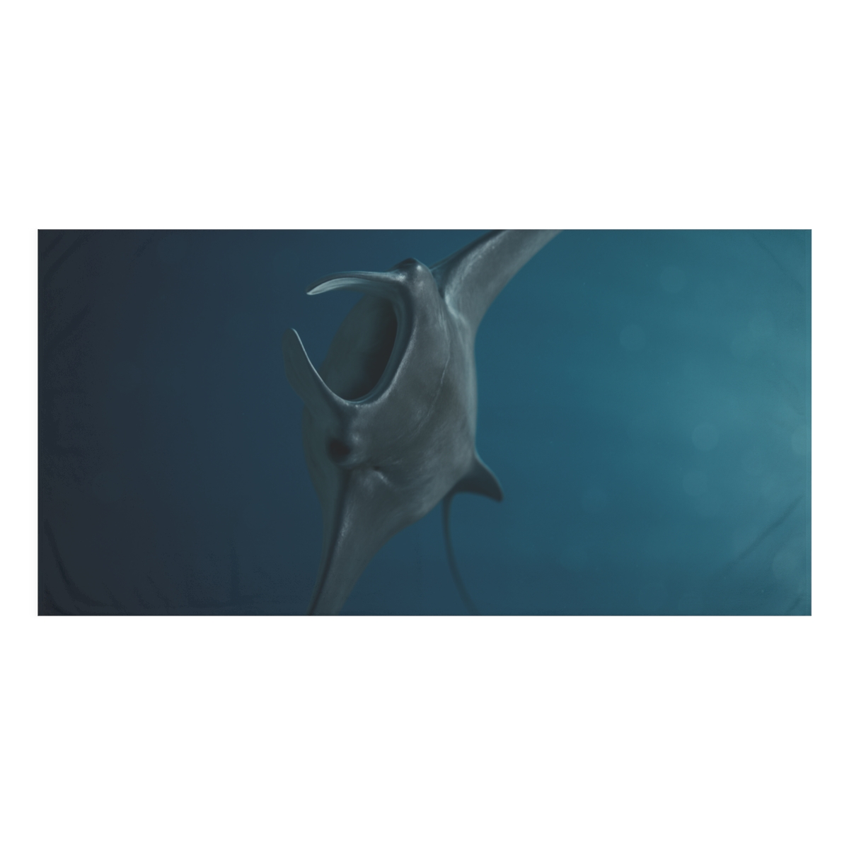 Aurora Drift Manta Ray unique gift towels