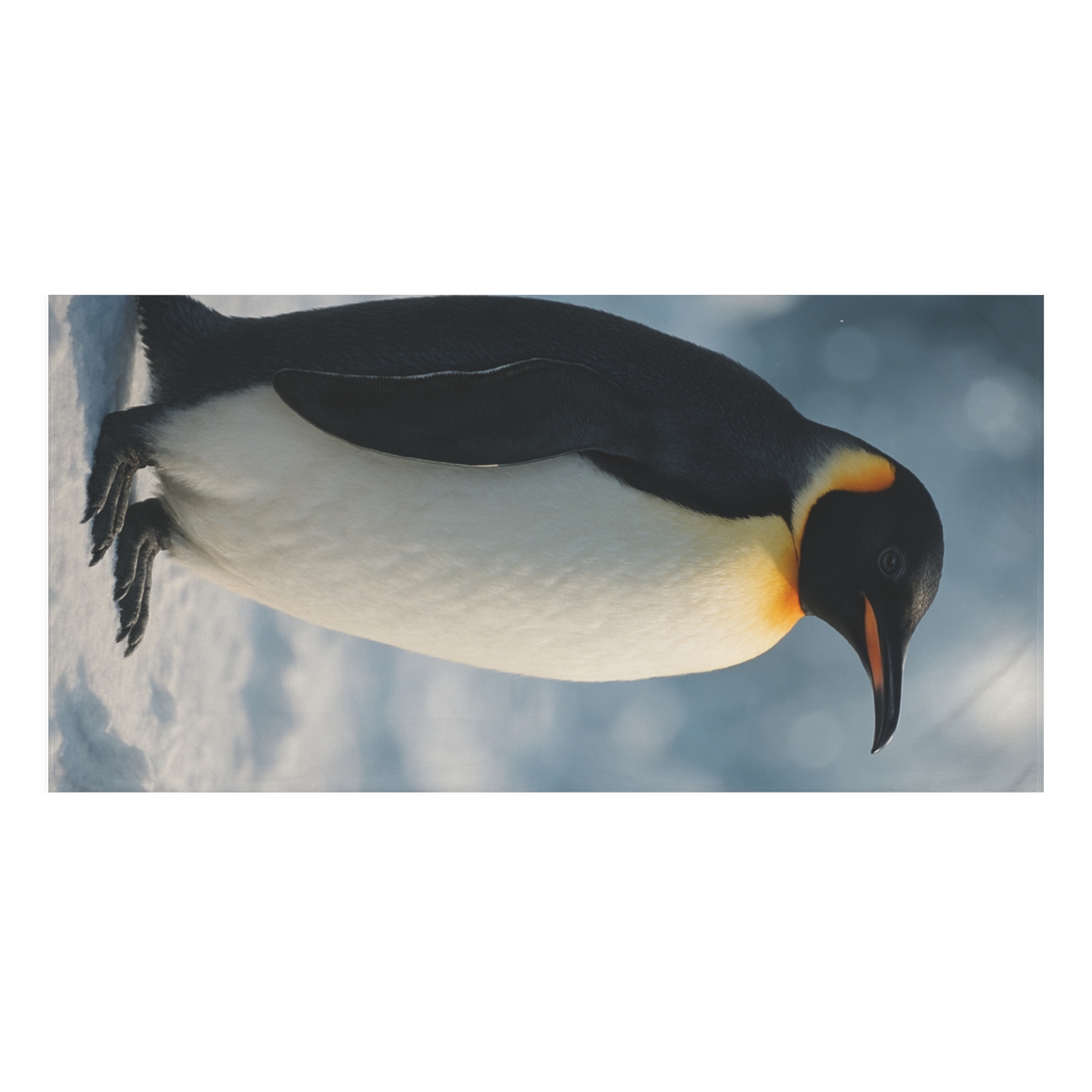 Aurora Hush Emperor Penguin decorative home towelscustom towels