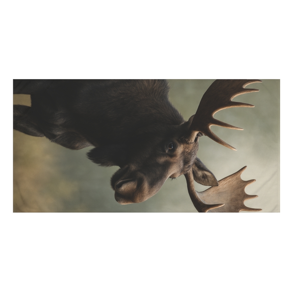 Aurora Hush Moose designer printed towels