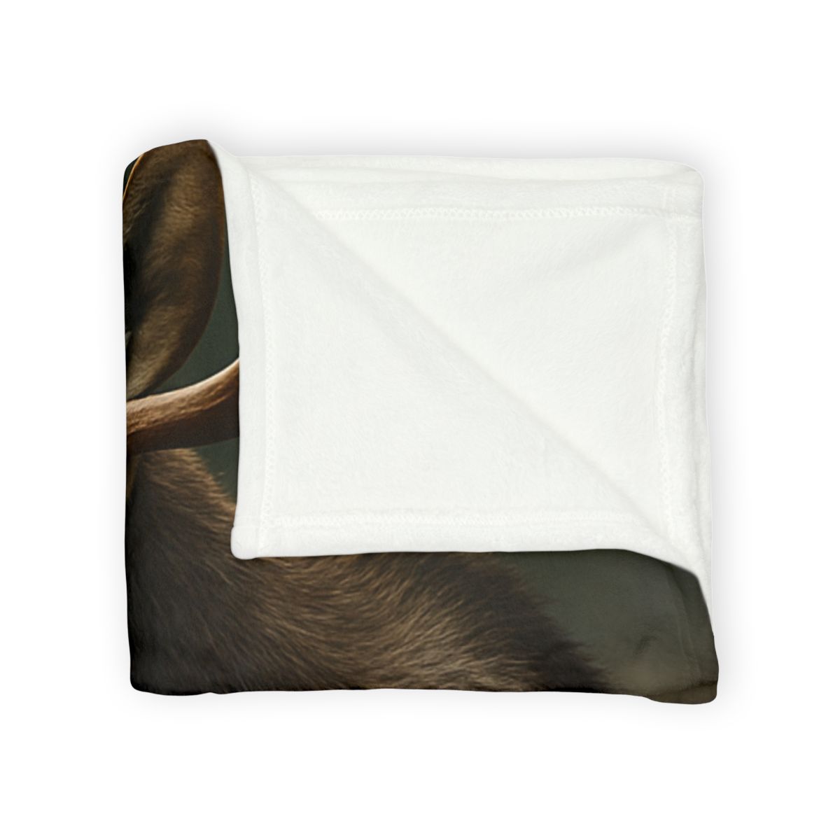 Aurora Listener Moose stylish throw blankets