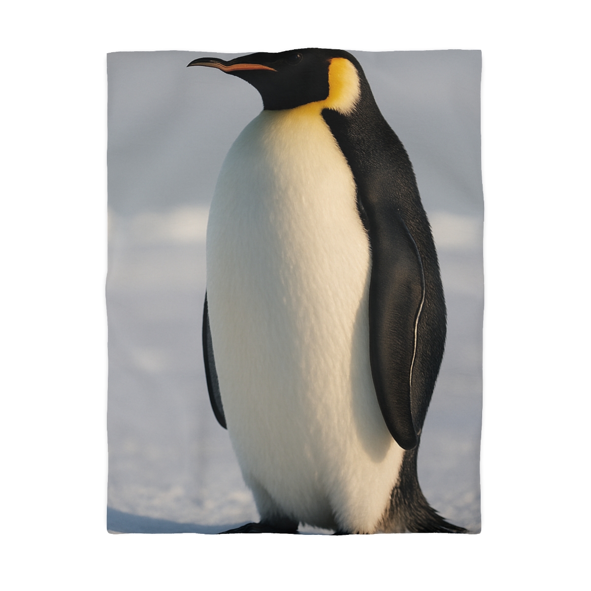Aurora March Emperor Penguin stylish duvet covers