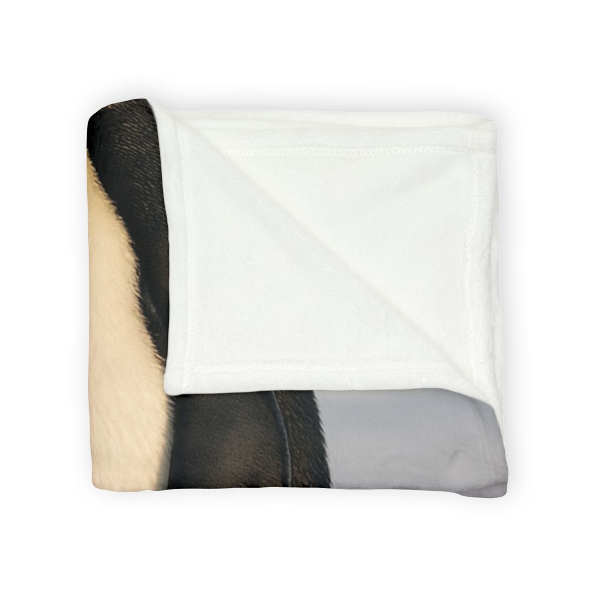 Aurora March Emperor Penguin warm winter blankets