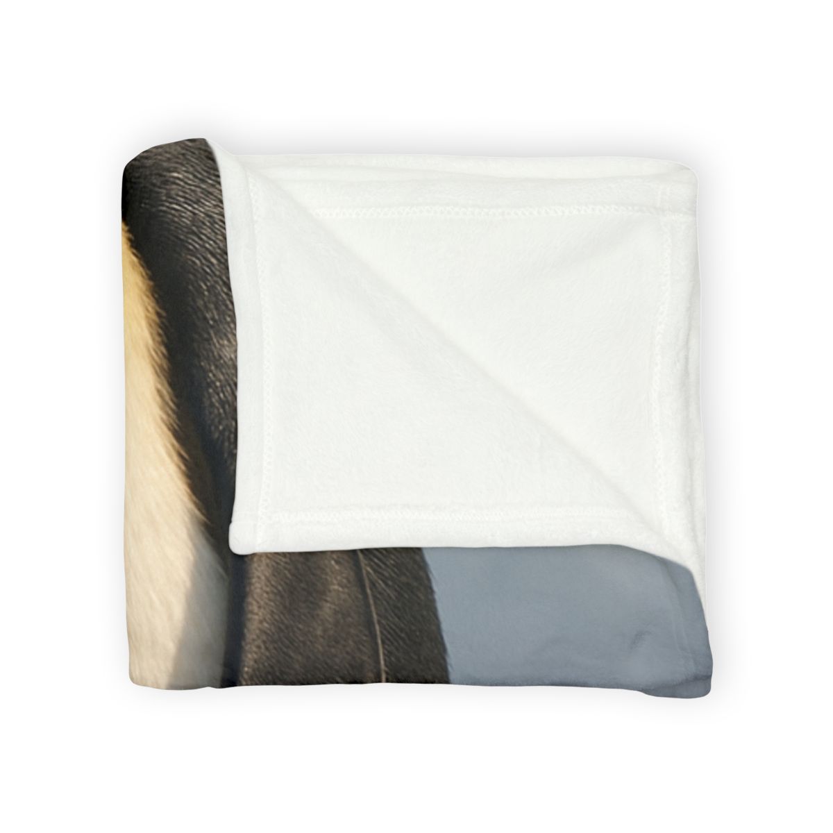 Aurora Poise Emperor Penguin unique gift blanketscustom blankets