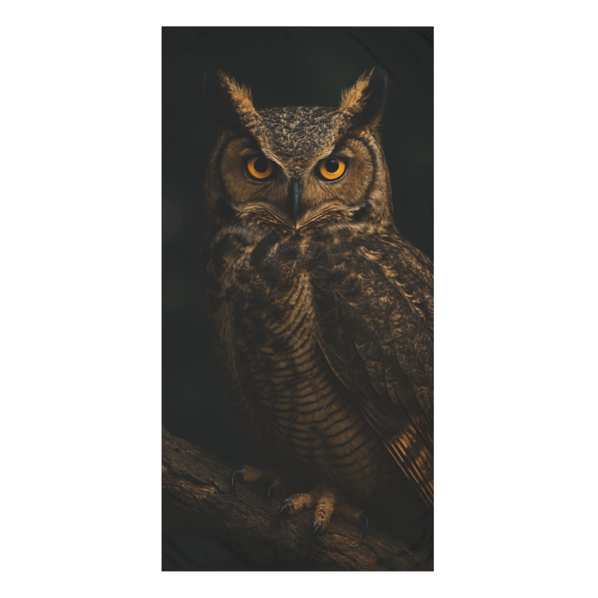 Aurora Sentinel Great Horned Owl personalized bath towels