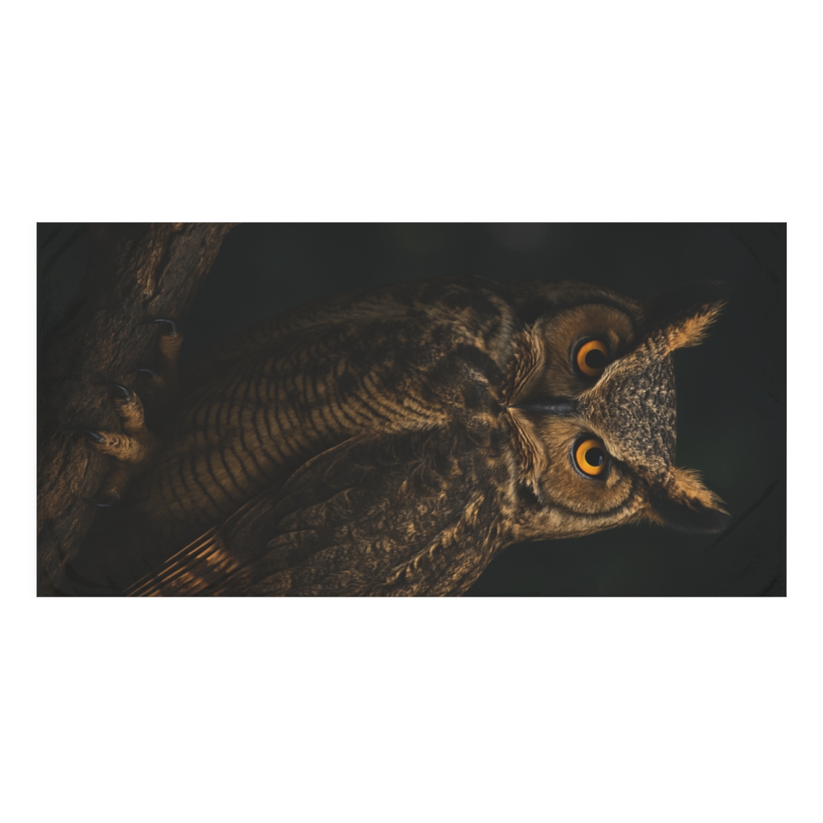 Aurora Sentinel Great Horned Owl personalized bath towels