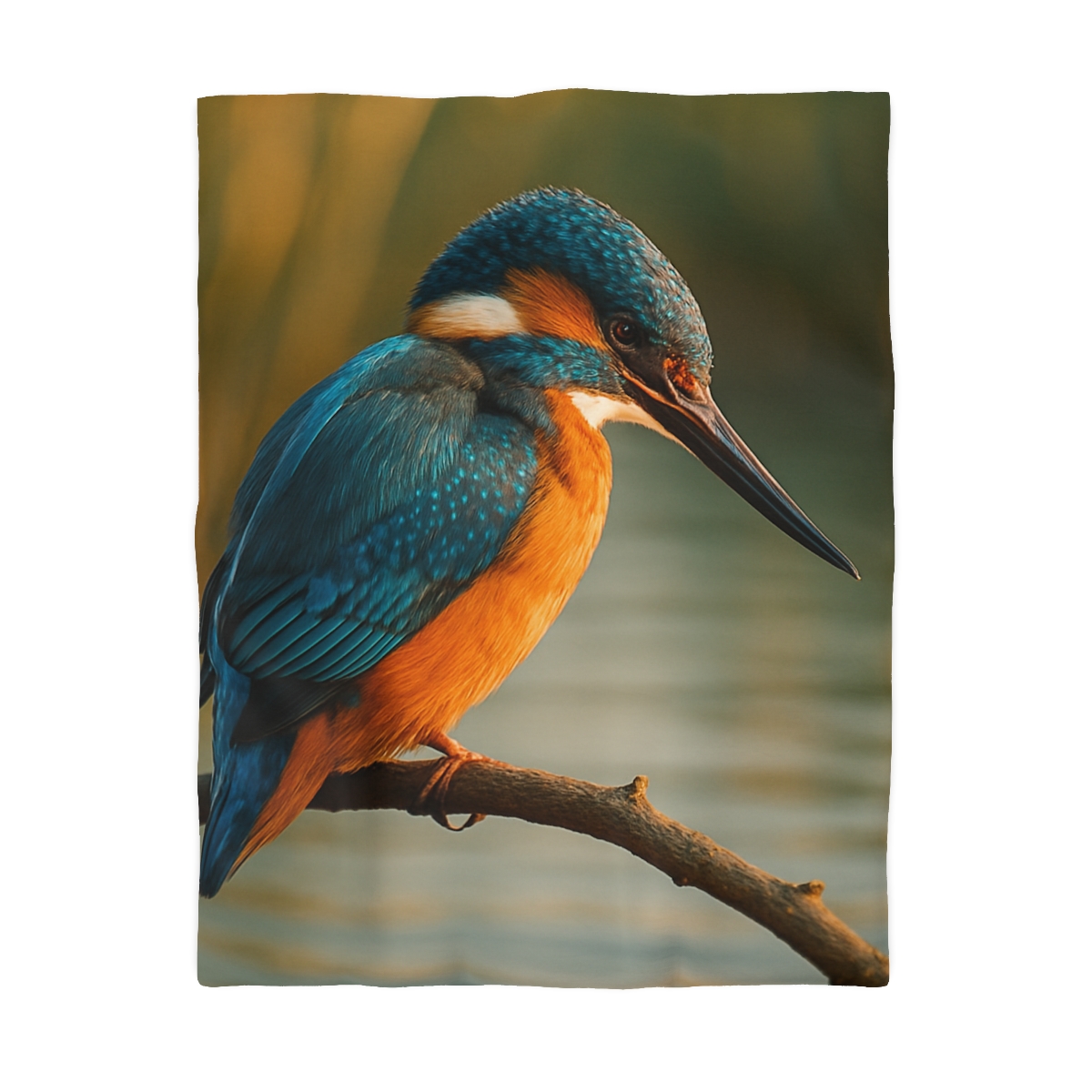 Aurora Splash Common Kingfisher warm winter duvets