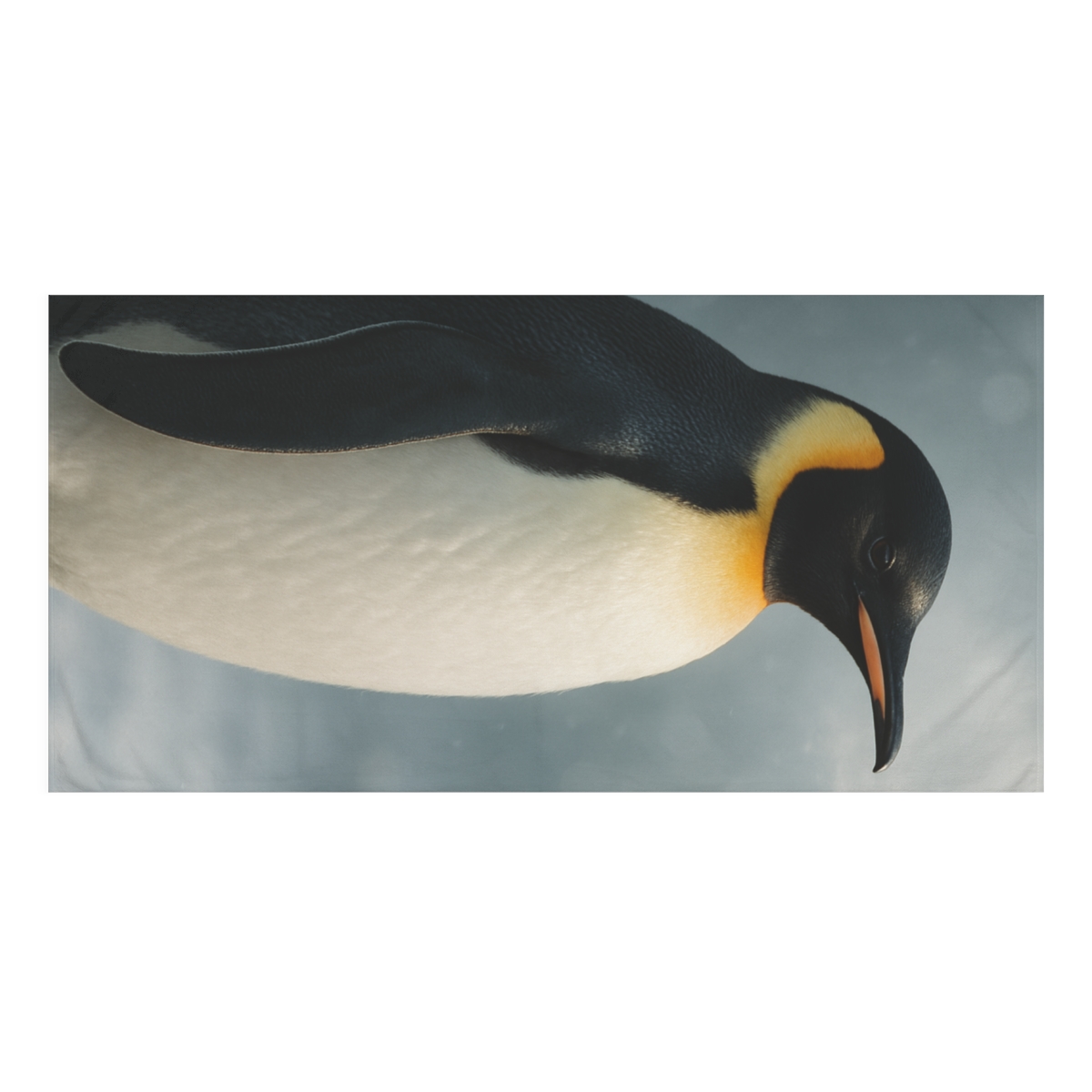 Aurora Vigil Emperor Penguin decorative home towelscustom towels