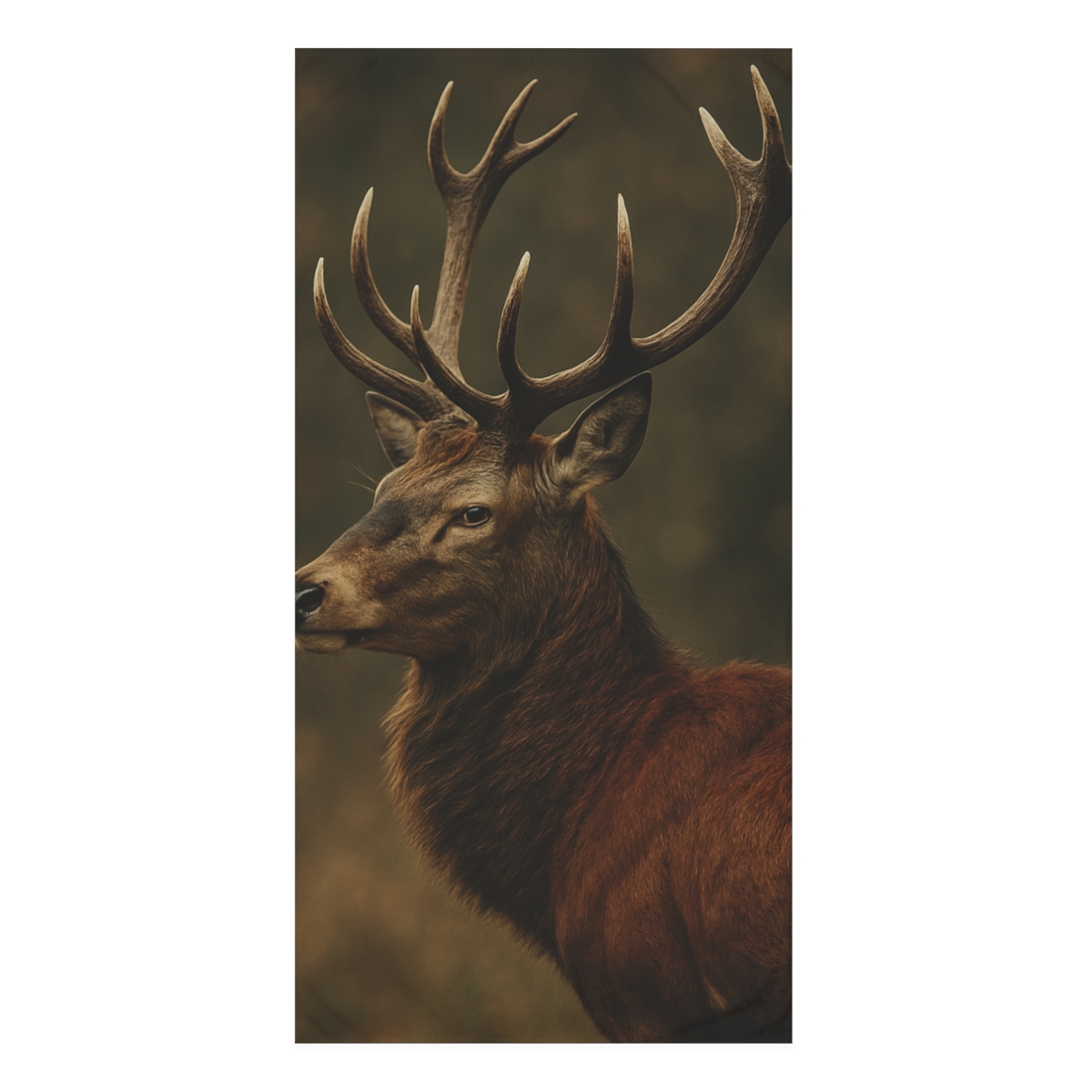 Autumn Hush Red Deer unique gift towels