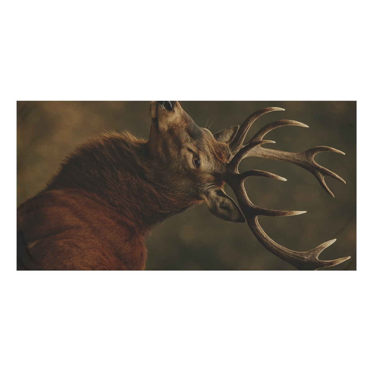 Autumn Hush Red Deer unique gift towels