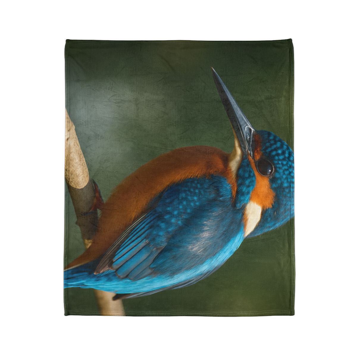 Azure Bolt Common Kingfisher soft fleece blankets