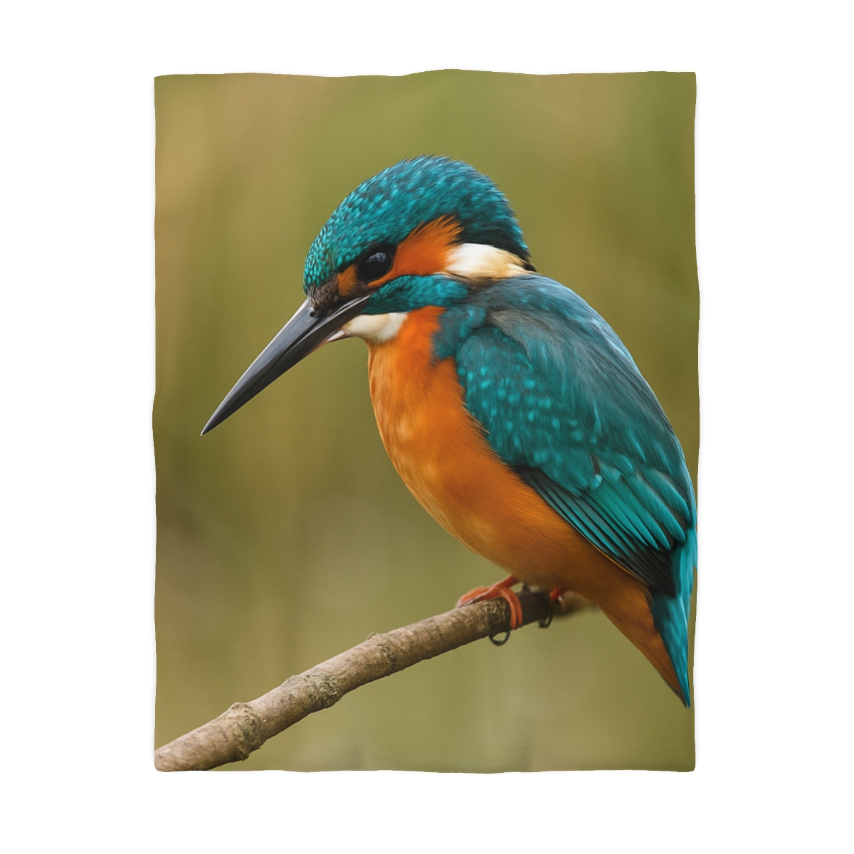 Azure Flash Kingfisher duvets for gifts
