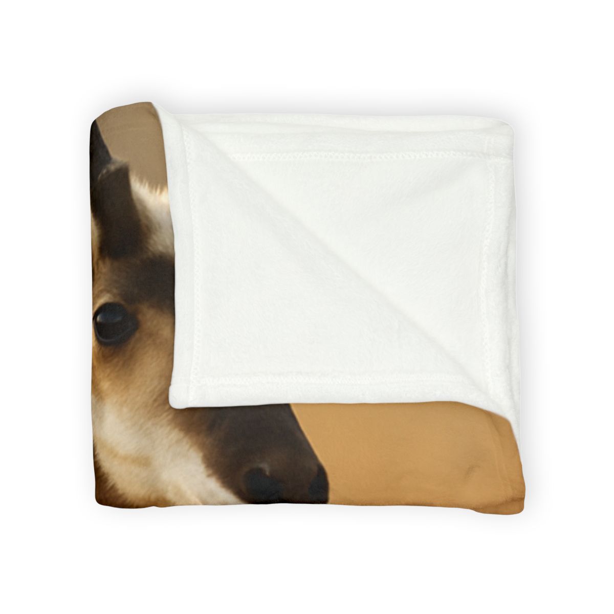 Horizon Pulse Pronghorn trendy patterned blankets