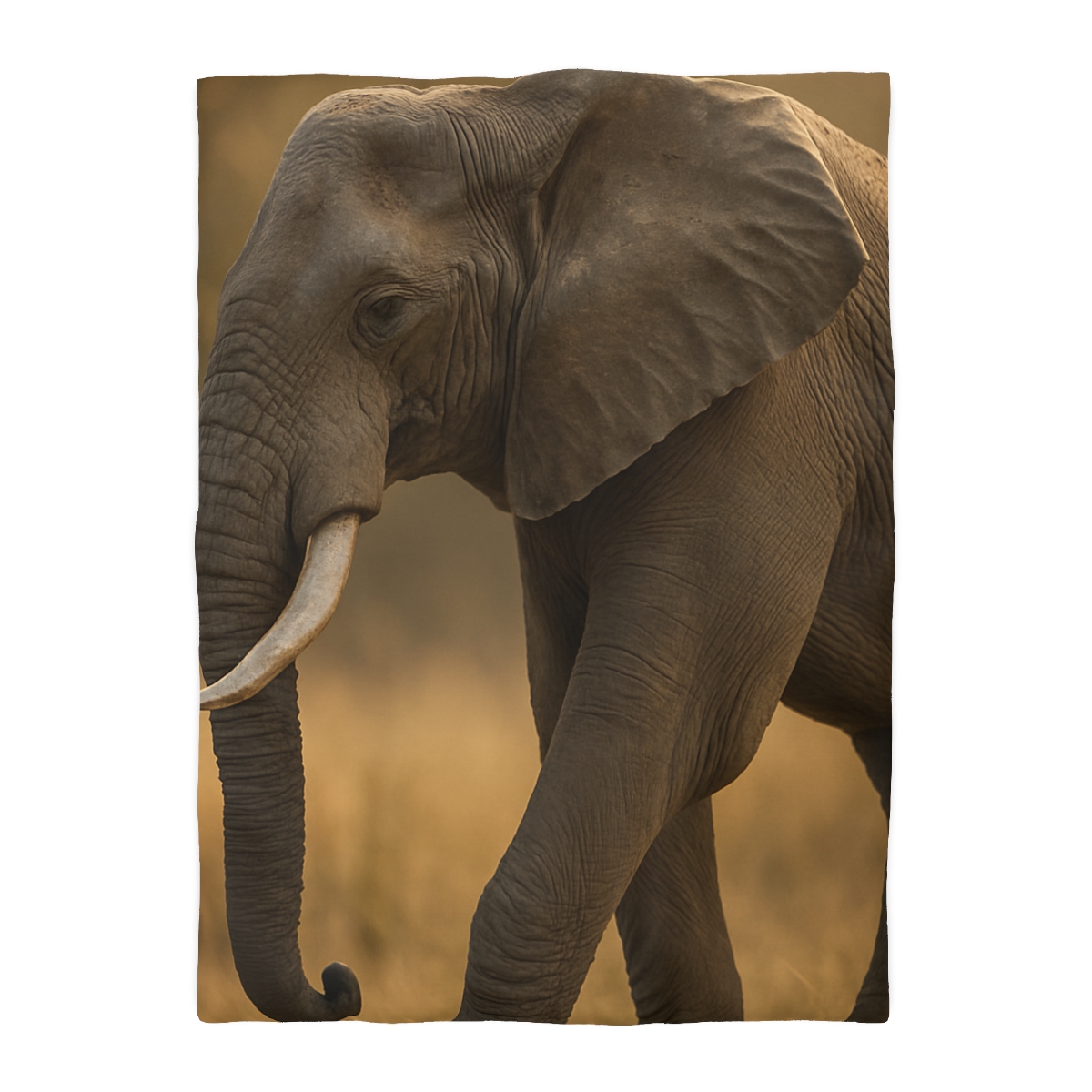 Savannah Sentinel Elephant soft comforter duvets