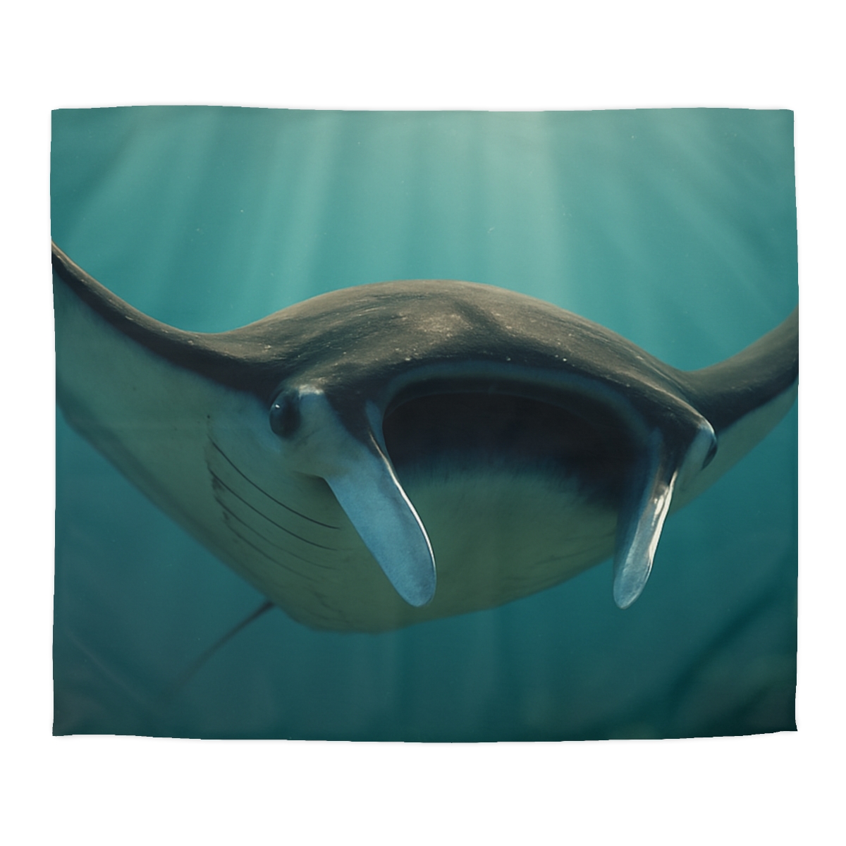 Starlit Drift Giant Manta Ray custom duvets