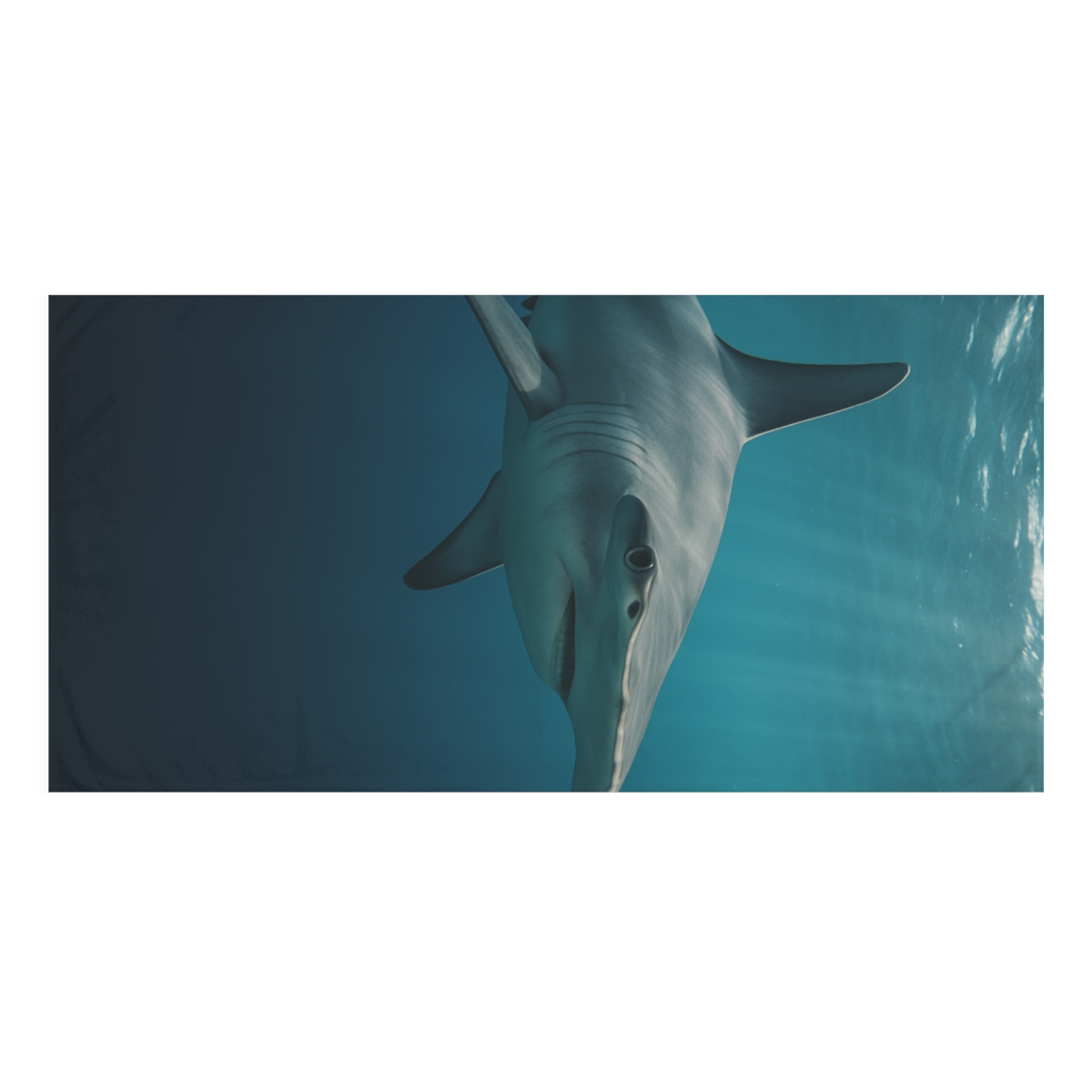 Hammerhead Shark Silent Horizon designer printed towels