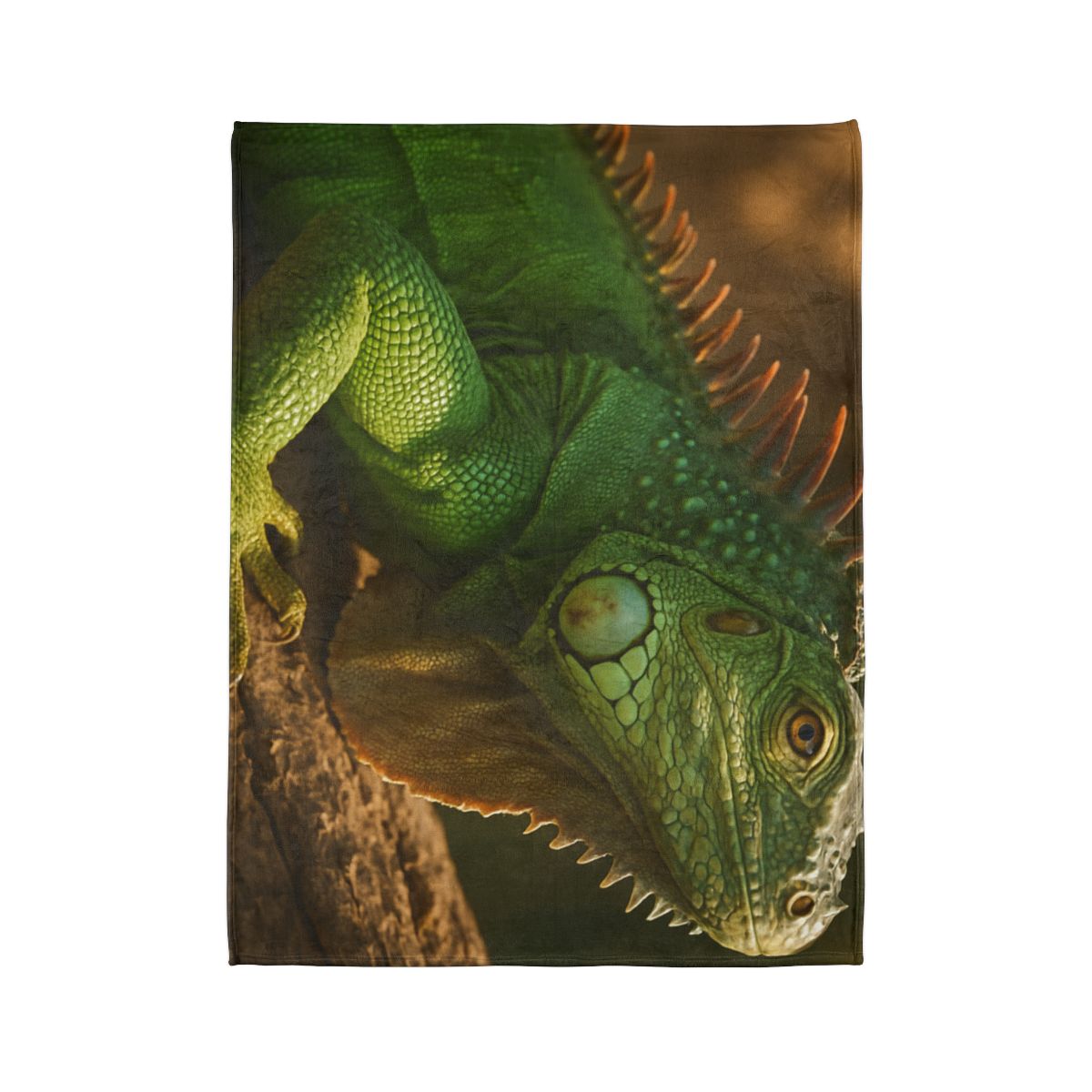 Sunlit Perch Green Iguana warm winter blankets