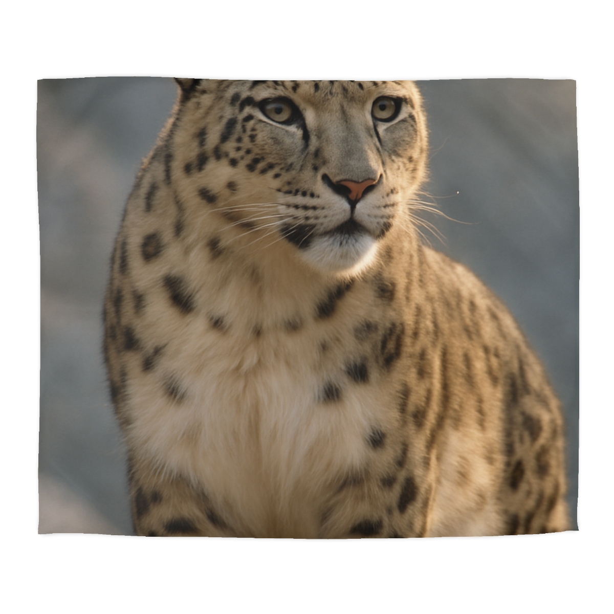 Cloud Crest Snow Leopard stylish duvet covers