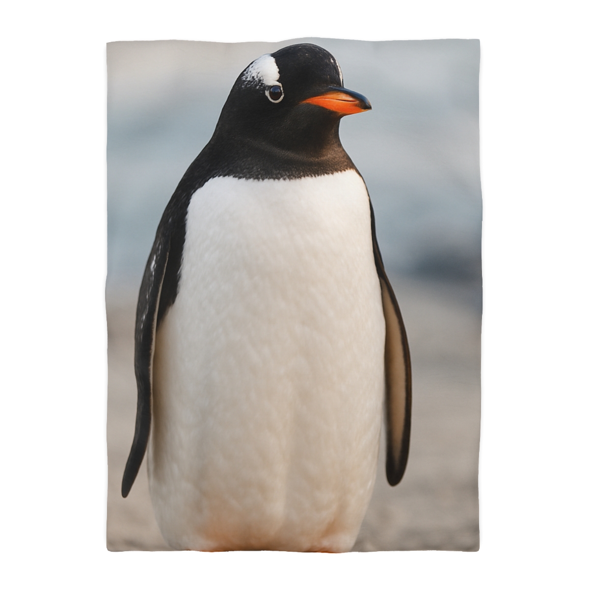 Shoreline Echo Gentoo Penguin trendy bedroom duvets