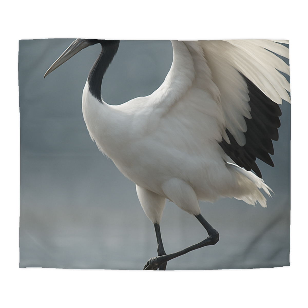 Mist Dancer Red Crowned Crane trendy bedroom duvets