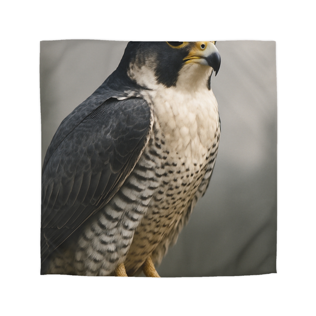 Starlit Vigil Peregrine Falcon personalized bedding duvets