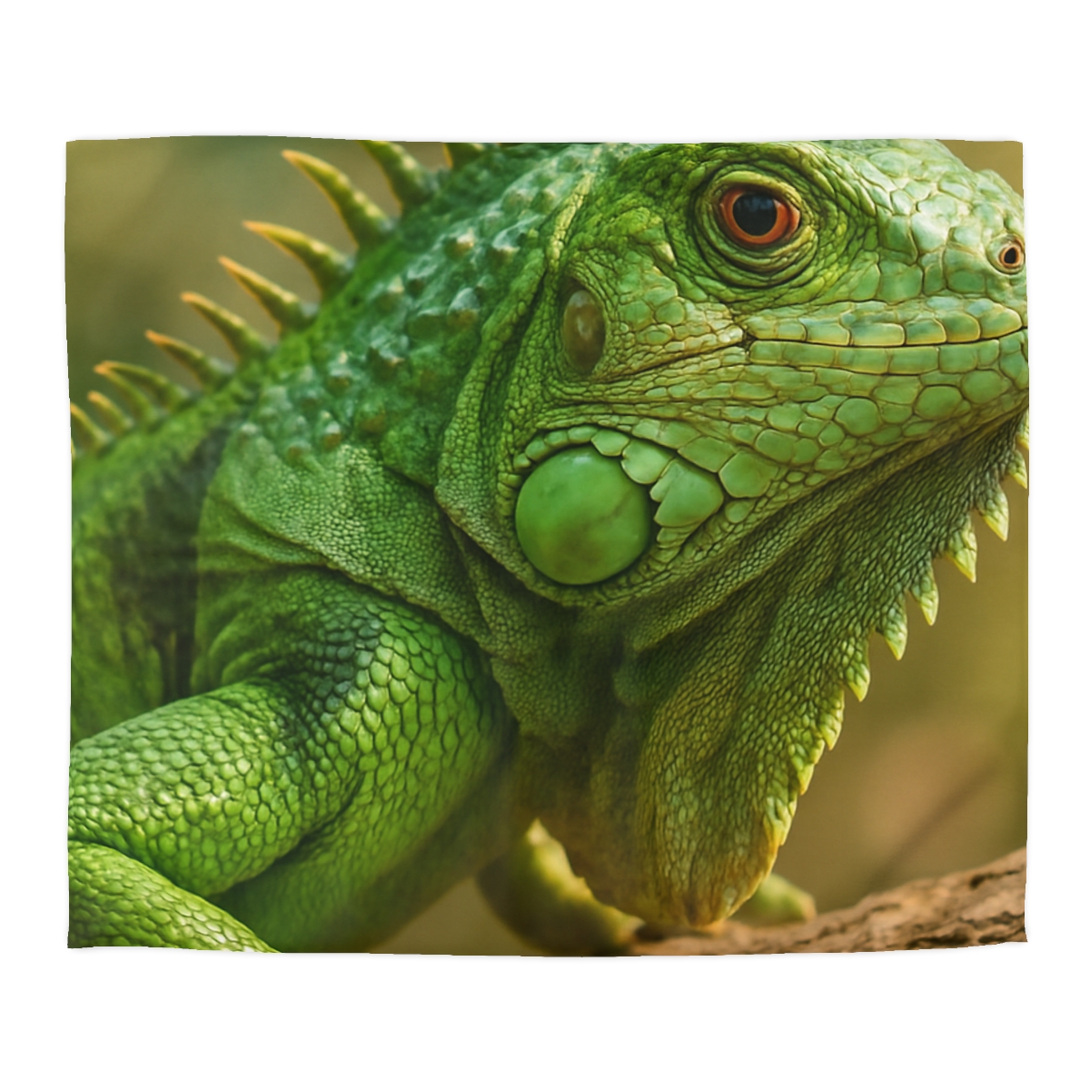 Green Iguana Sun Poise personalized bedding duvets