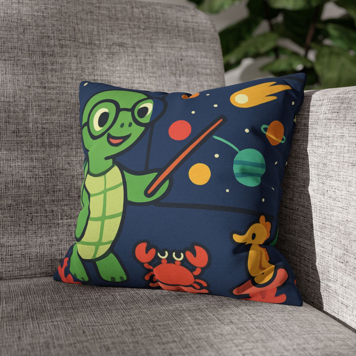 Comet Classroom Turtle personalized pillow covers